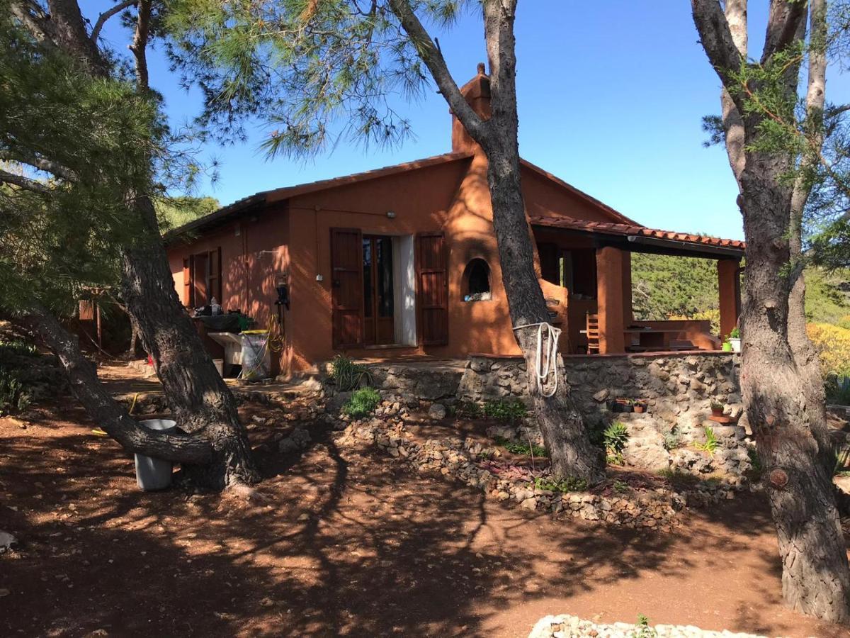 Casa Diana Bed & Breakfast อิโซลา ดิ จิอันนูตริ ภายนอก รูปภาพ