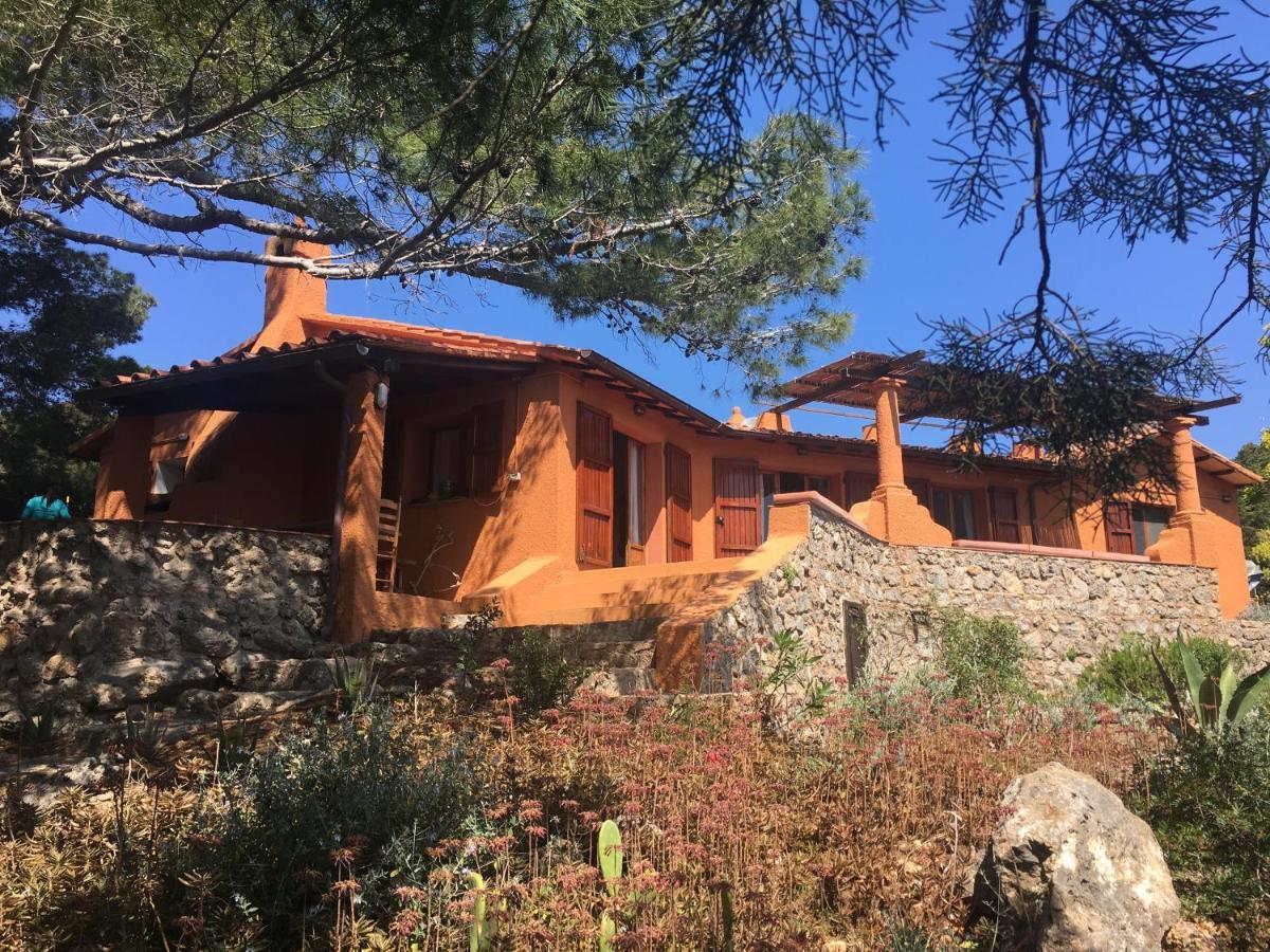Casa Diana Bed & Breakfast อิโซลา ดิ จิอันนูตริ ภายนอก รูปภาพ