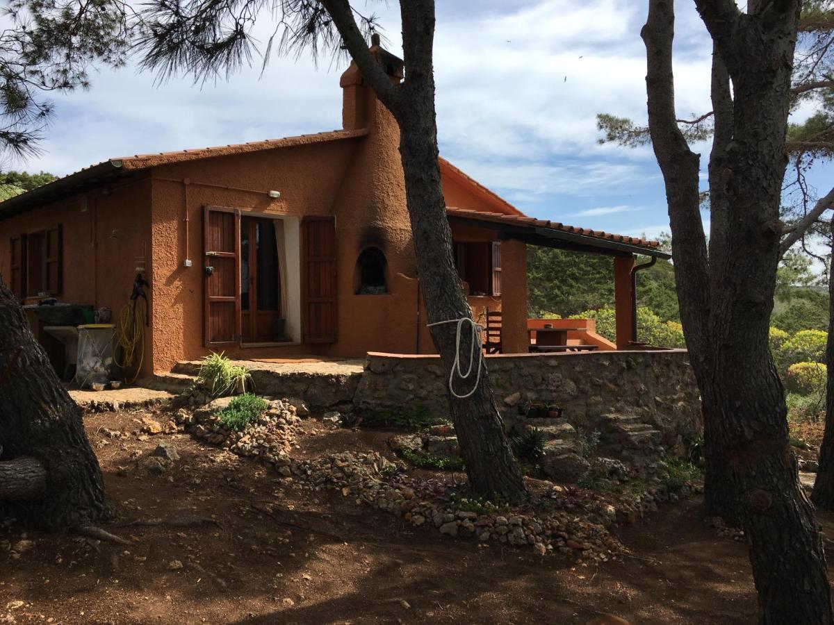 Casa Diana Bed & Breakfast อิโซลา ดิ จิอันนูตริ ภายนอก รูปภาพ